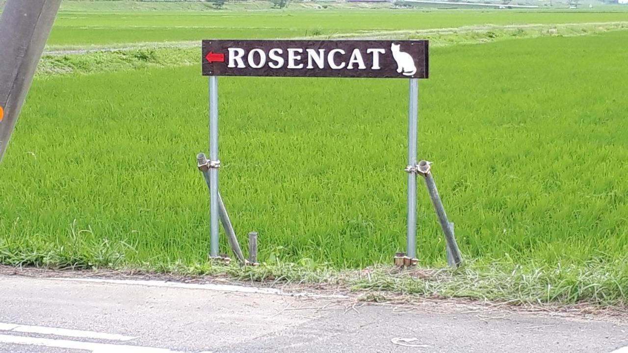 Rosencat Villa Sado Exterior photo
