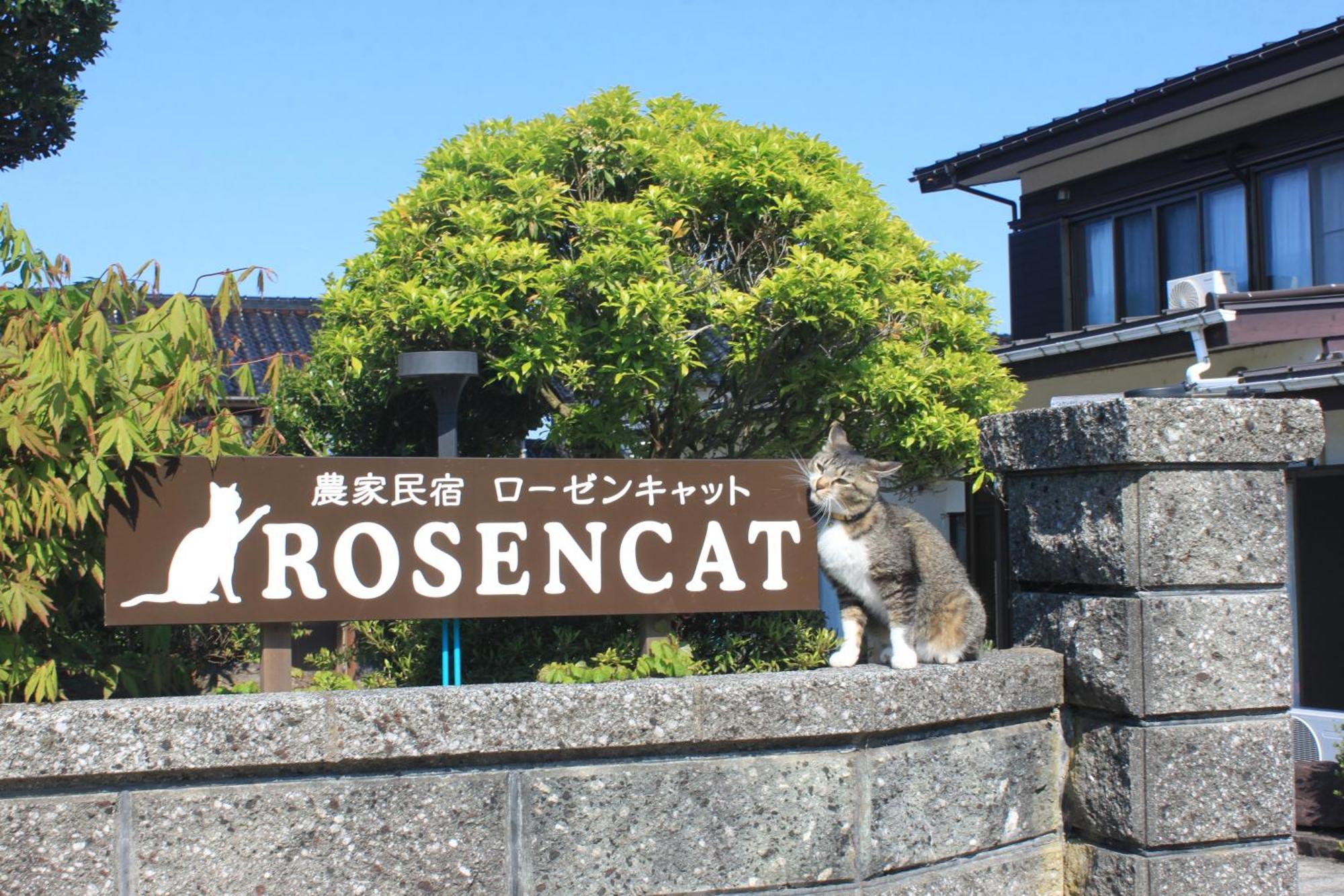 Rosencat Villa Sado Exterior photo